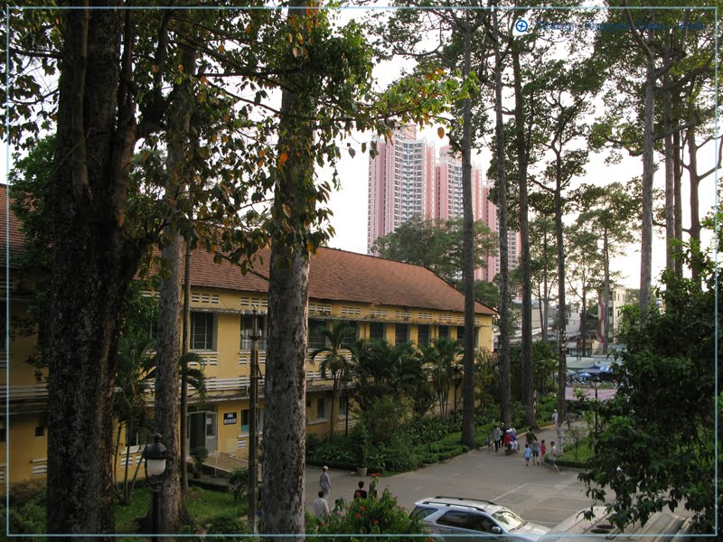 Chợ Rẫy Hospital by Vietnam - Paracels