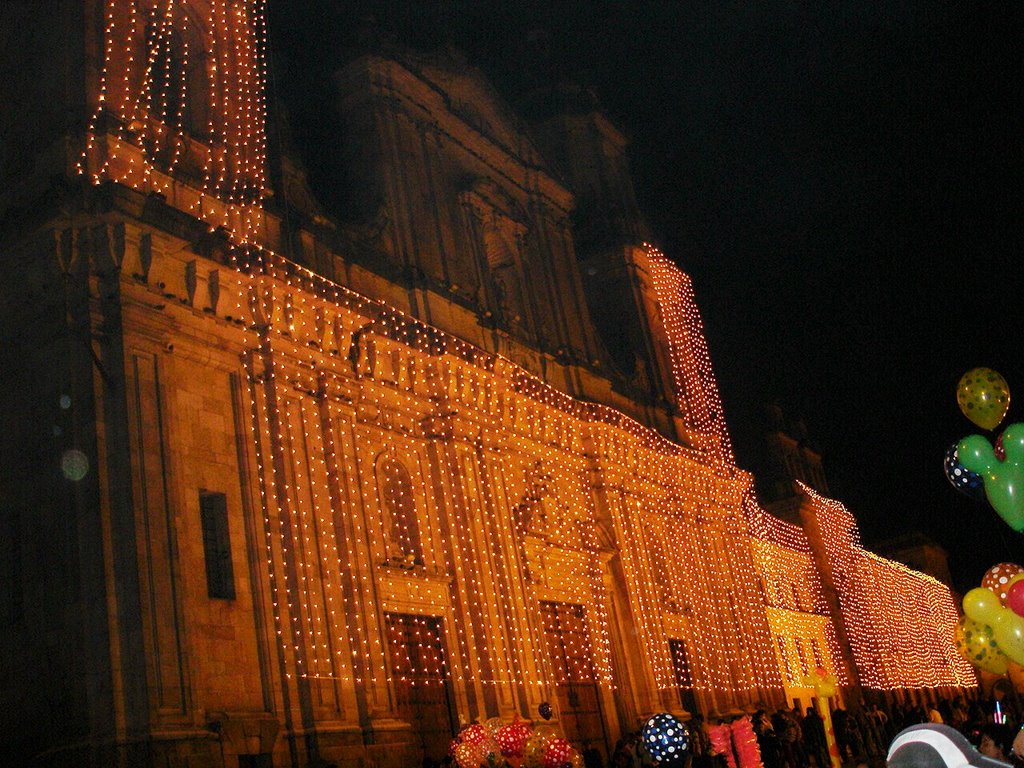 Catedral Primada by haroldgomezsachica