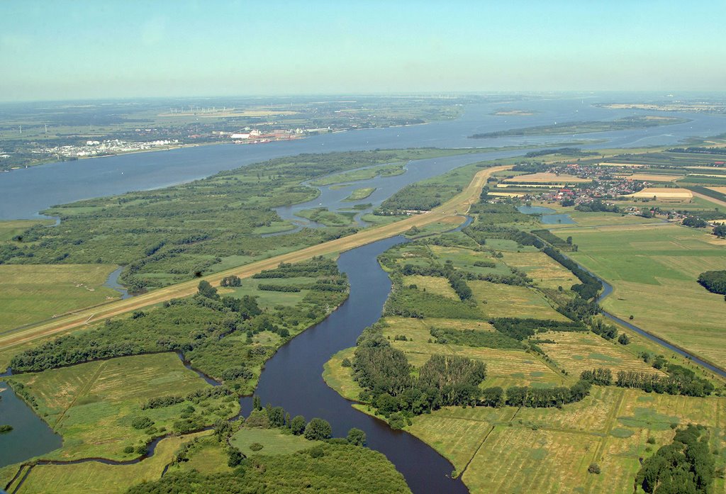 Naturschutzgebiet Haseldorfer Binnenelbe mit Elbvorland by Juliane Herrmann