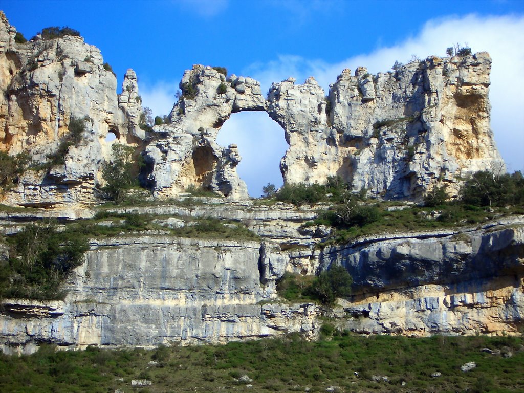 LOS CAMELLOS ORBANEJA DEL CASTILLO by pacorh