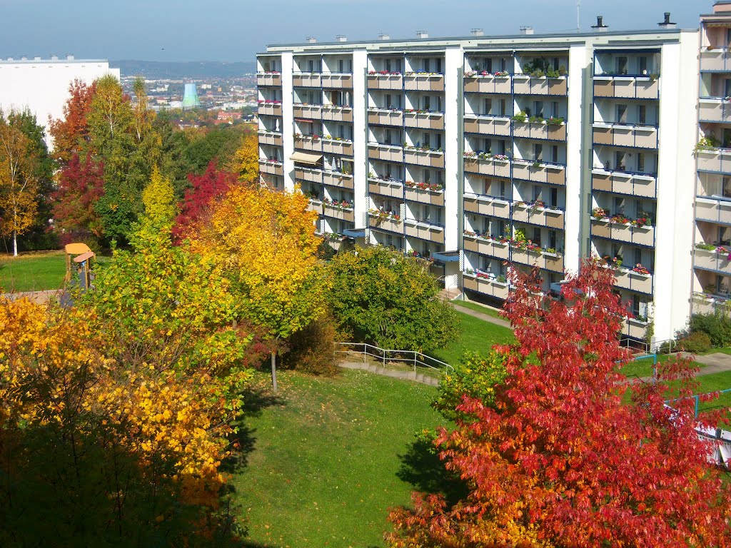 Goldner Herbst - mitten in der Stadt by Siegfried Sommer