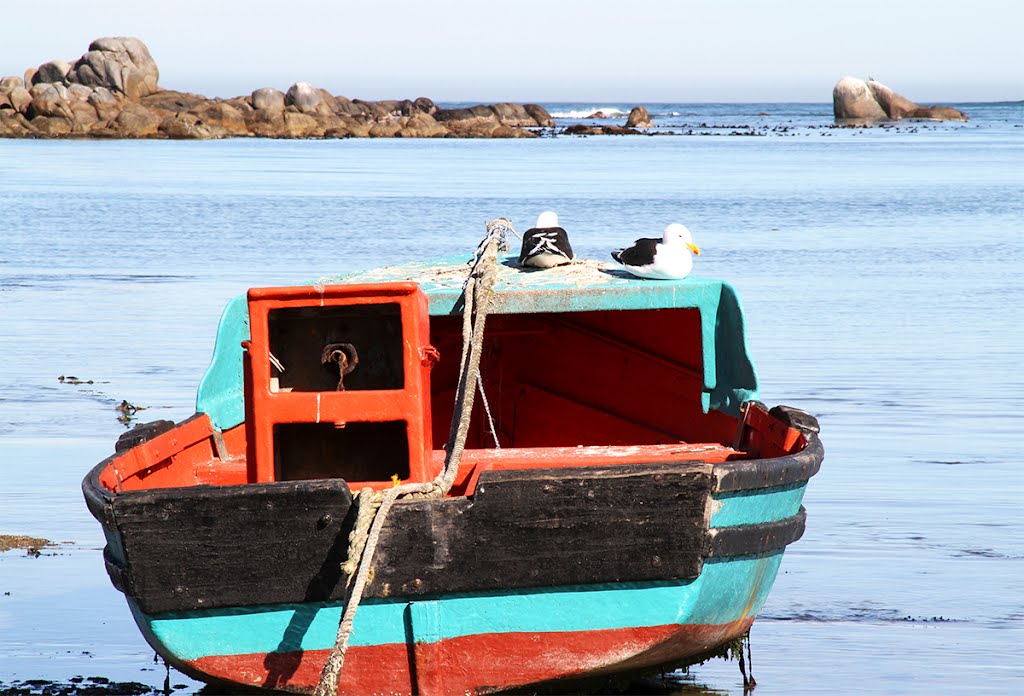 Boat Jacobs Bay by Daan Prinsloo