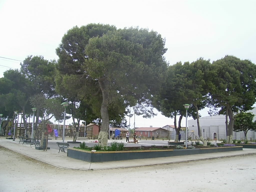 Plaza de Quintay. by Gerald Foxon