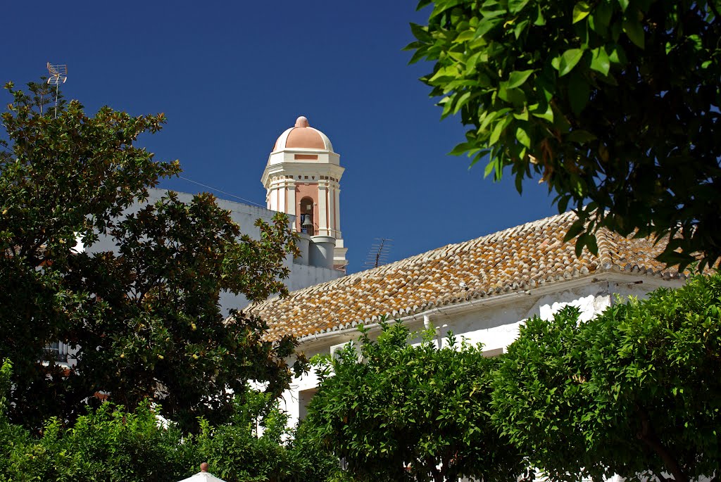 Plaza de las Flores by OCelta