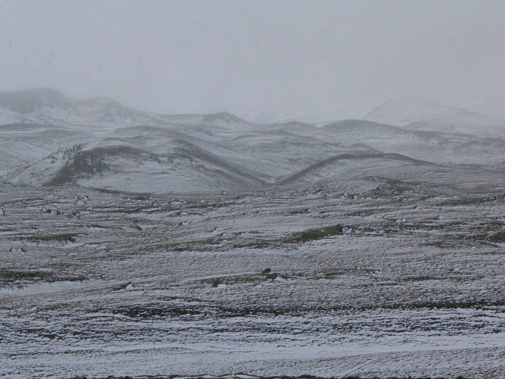 Krafla, minor August snowstorm by ajz20