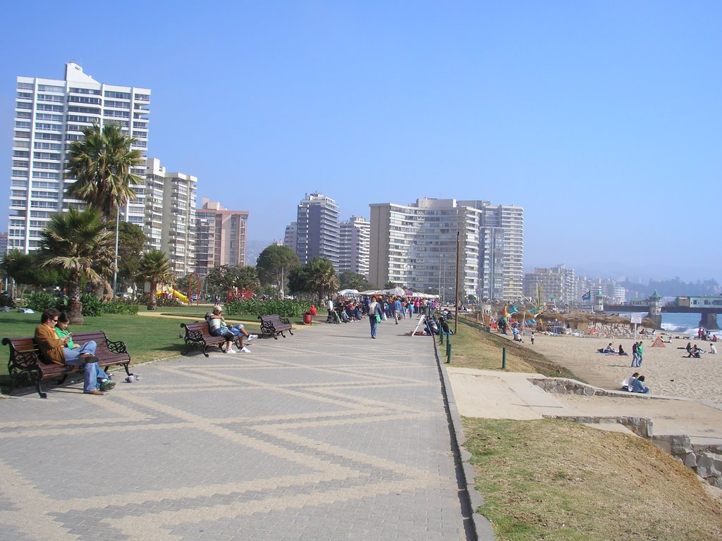 Playa y Paseo en avenida San Martín, Viña del Mar, Chile by Santiago FLORES