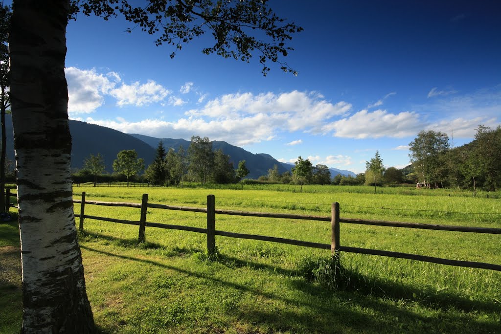 Camping w okolicach Zell am See by Lucyna Kozub