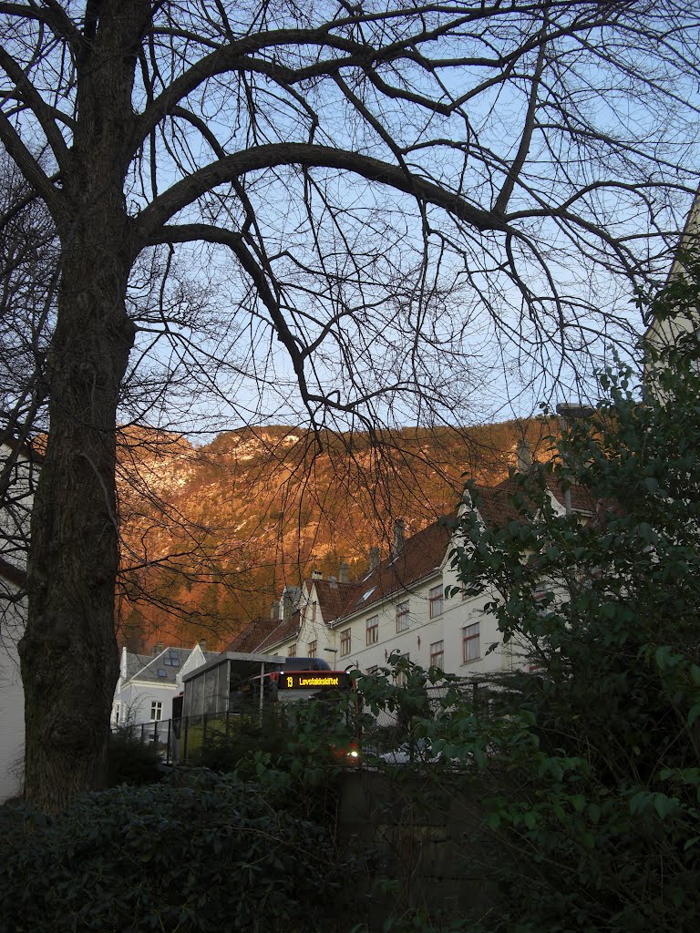 Looking at the bus-stop in Kirkegaten by Mona Lygre