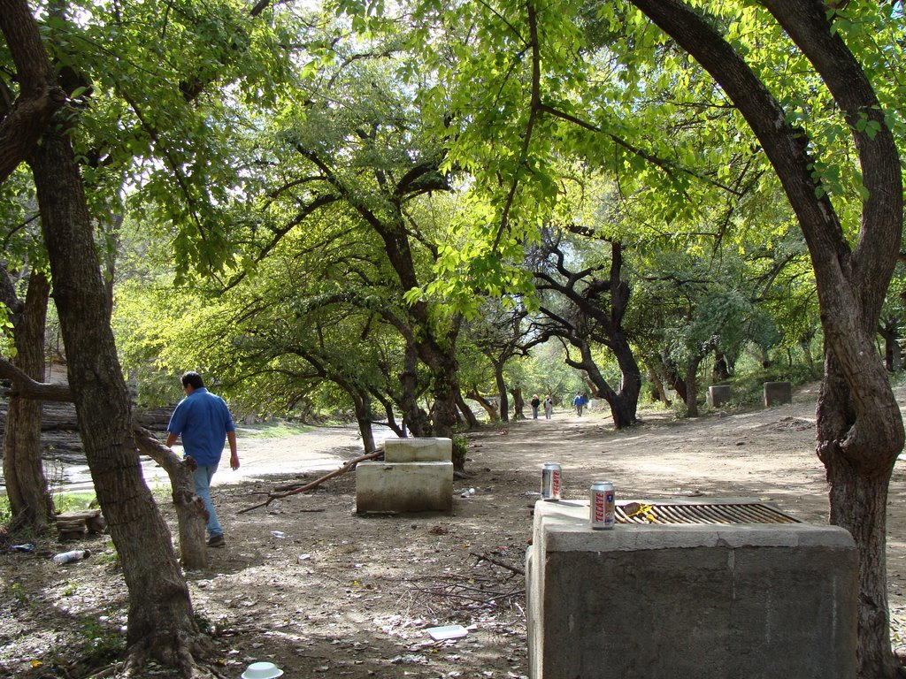 Paseo el alamo, Quiriego by Irene'S