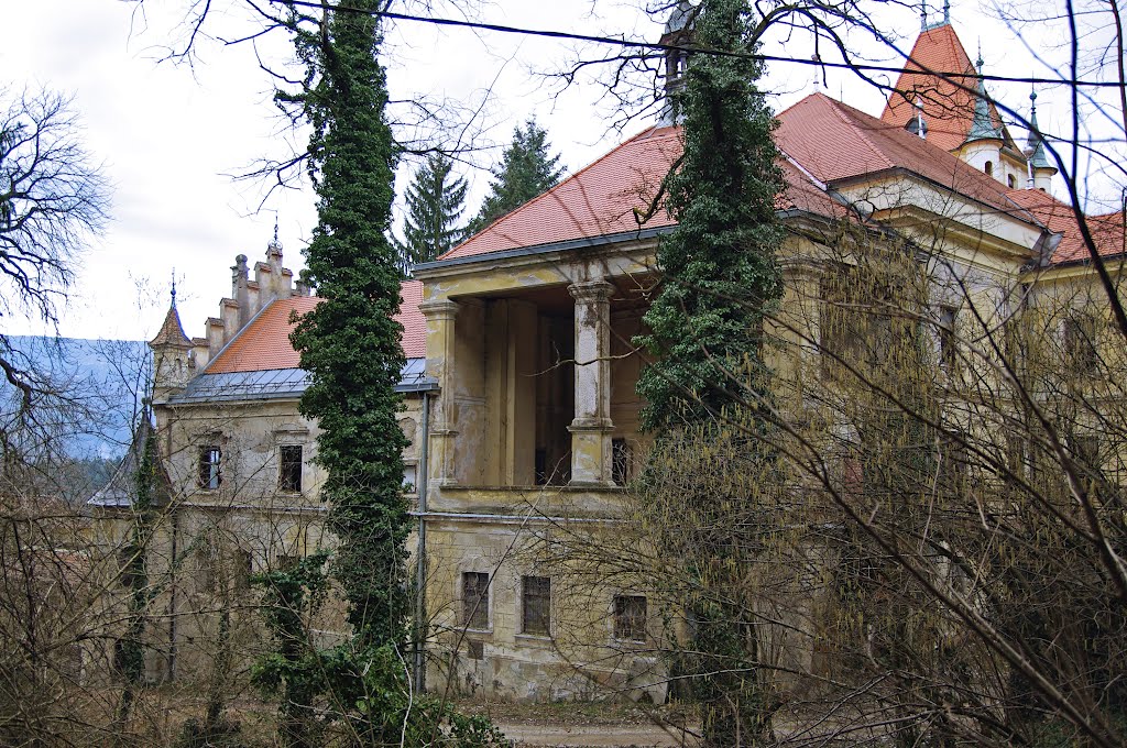 Castle Viltuš details - 4 by rlubej