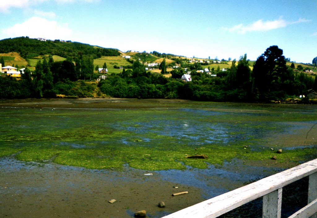 Palafito sin agua en Puerto Montt by eduardosch