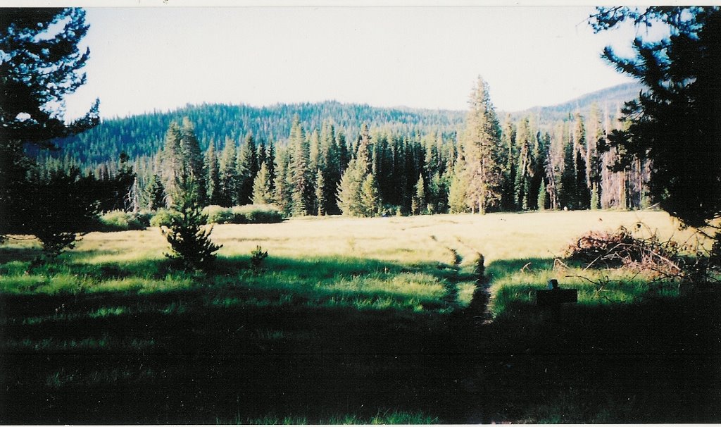 Mountain Meadow North of Loon Lake by raymelong