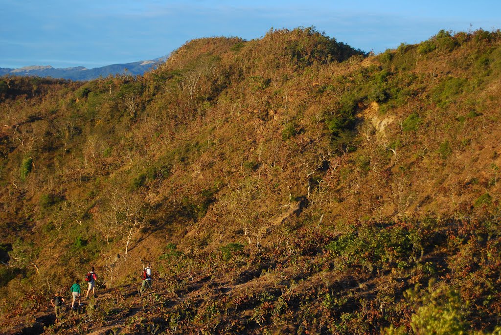 The hils turn brown and gold during the dry season by GerardNL