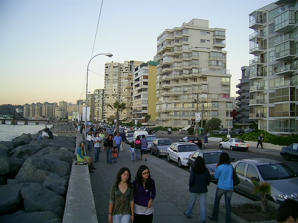 Av. Peru, Viña del Mar. by Gerald Foxon