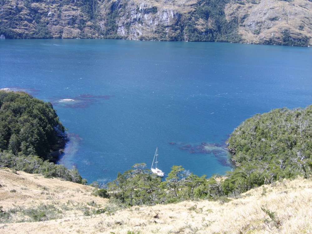 Caleta del Bosque by Frank Holden