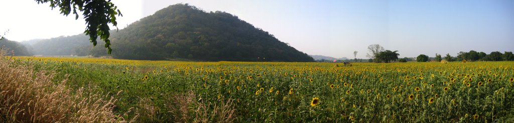 Near Pasak Jolasid Dam by ached01