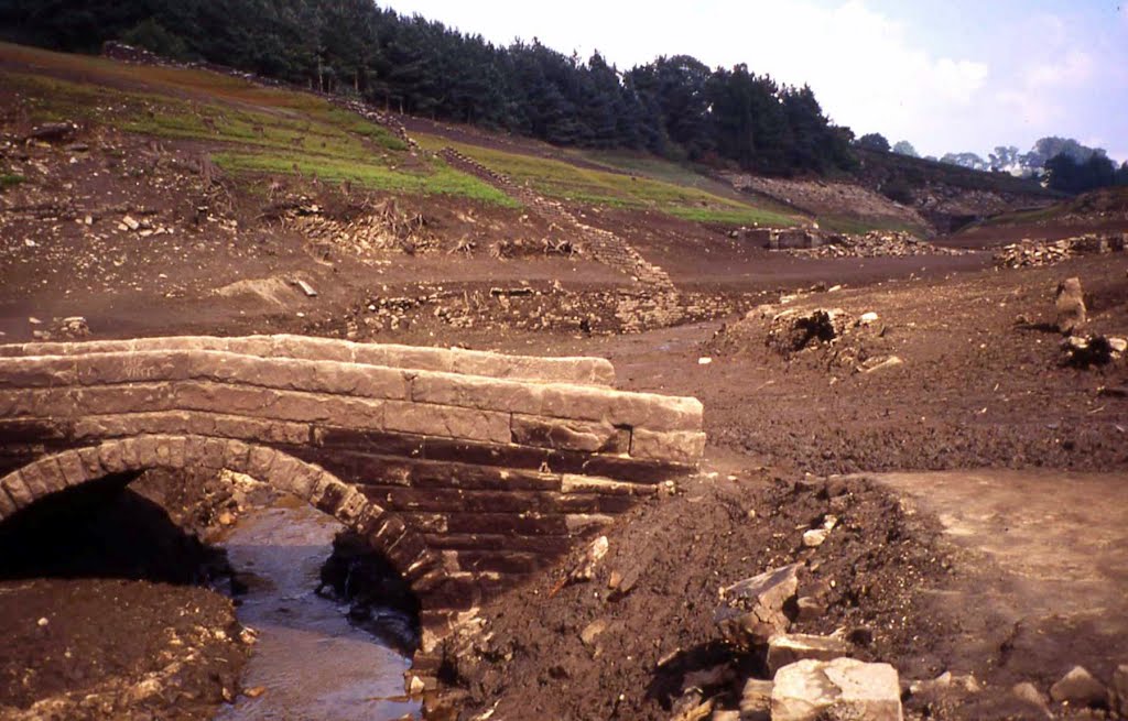 WEST END, North Yorkshire. (See comments box for story) by Roy Pledger