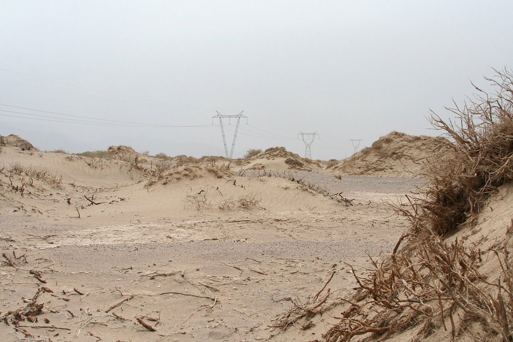 柴达木盆地的沙丘 Sand dunes in the Chaidam Basin by Kaiching Chu