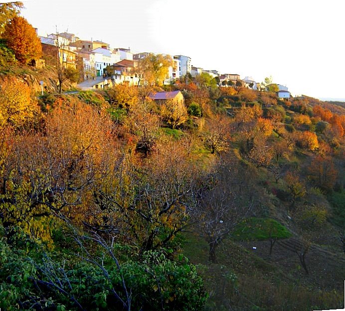 BARRADO- PANORAMICA DESDE EL CHORRILLO by elriscoex