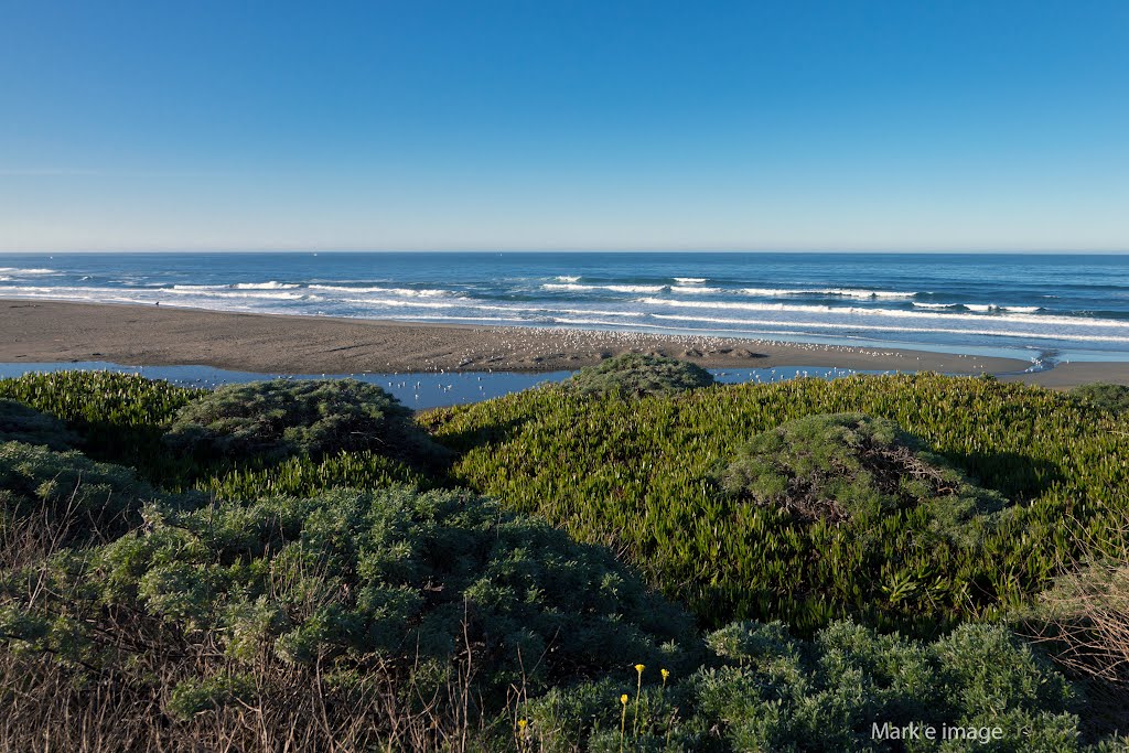 Sonoma State Beach by Mark Kortum