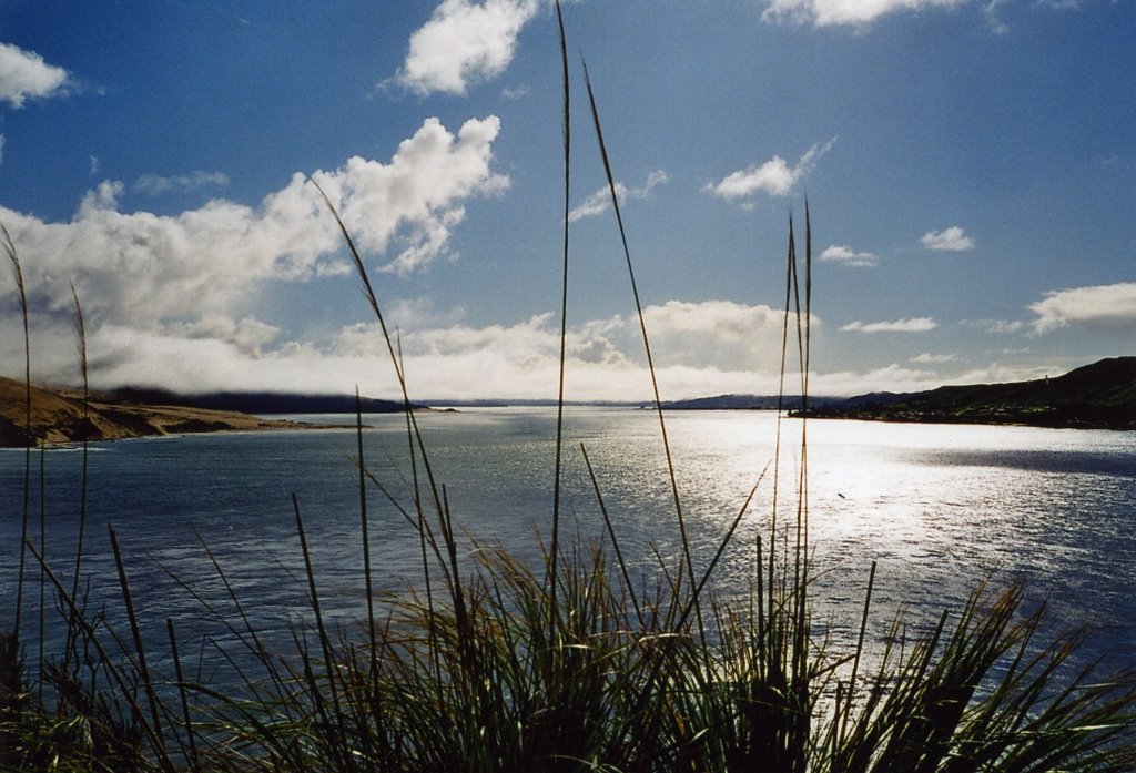 From the Heads looking inland by Eleanor Pinder