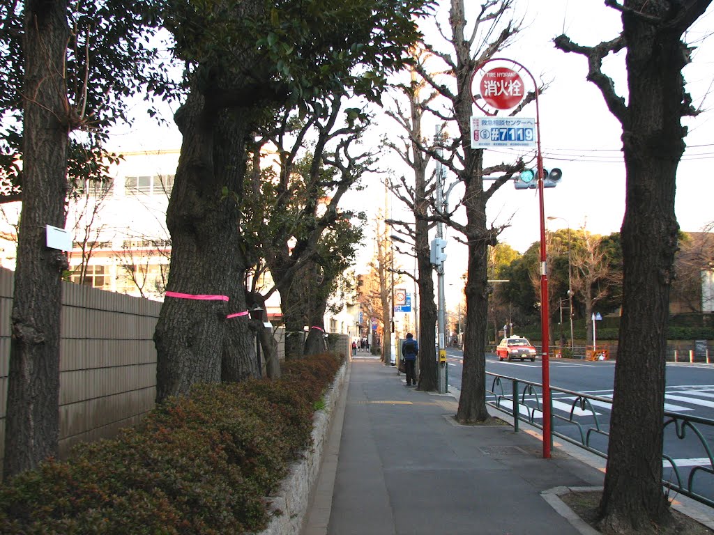 目白通り　Mejiro-dori Street by Grahabudayaindonesia