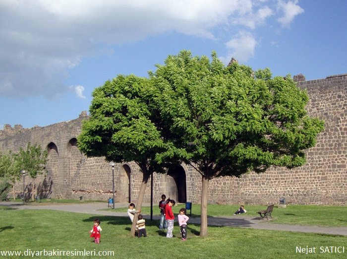 Diyarbakır Kalesi ve Küçük Mankenler - Fot. Nejat SATICI by nejat satıcı