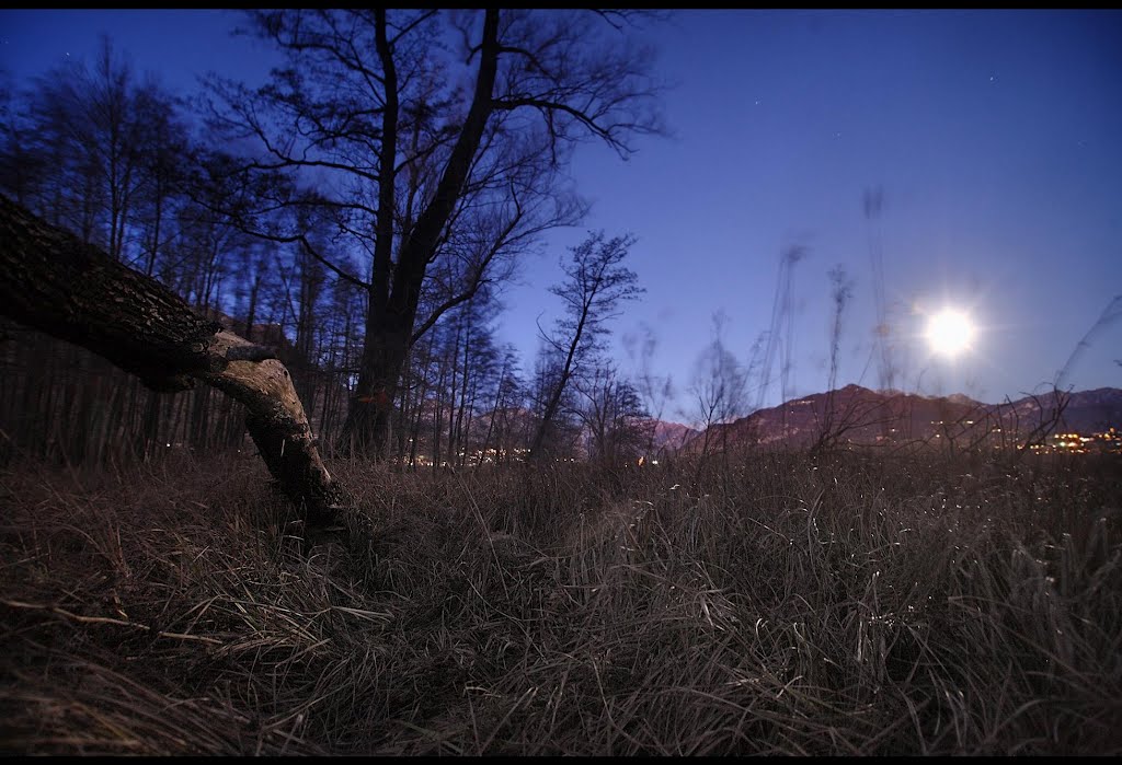 Moonlight in the moss _Oggiono lake by ©Andrew Bonfanti©