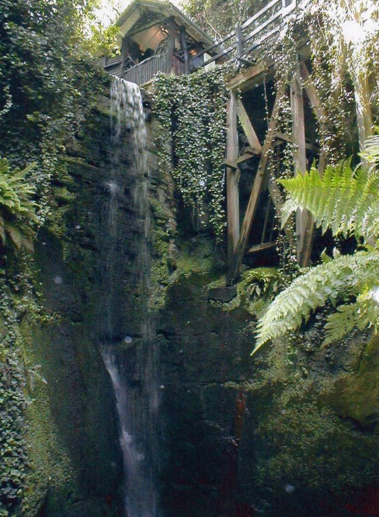 Shanklin chine by chits