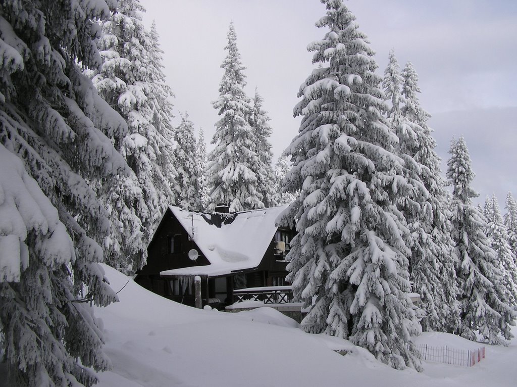 Martin, Slovakia by Jan44