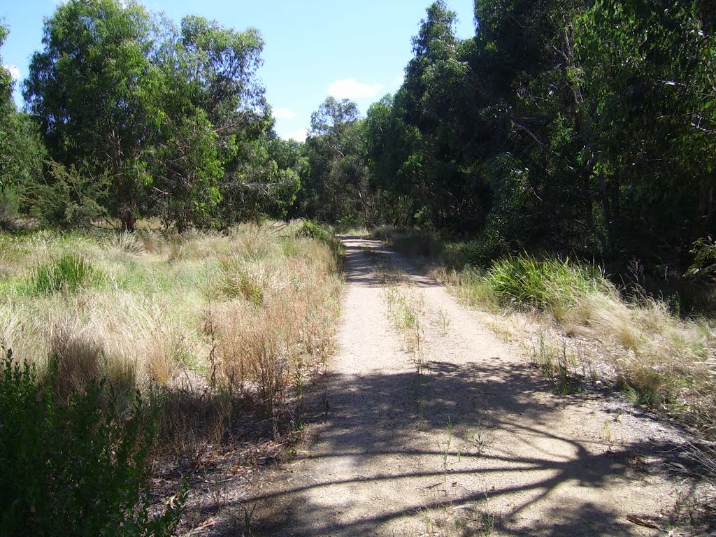 Dandenong Creek Circular Trail by VICPhotoSurvey