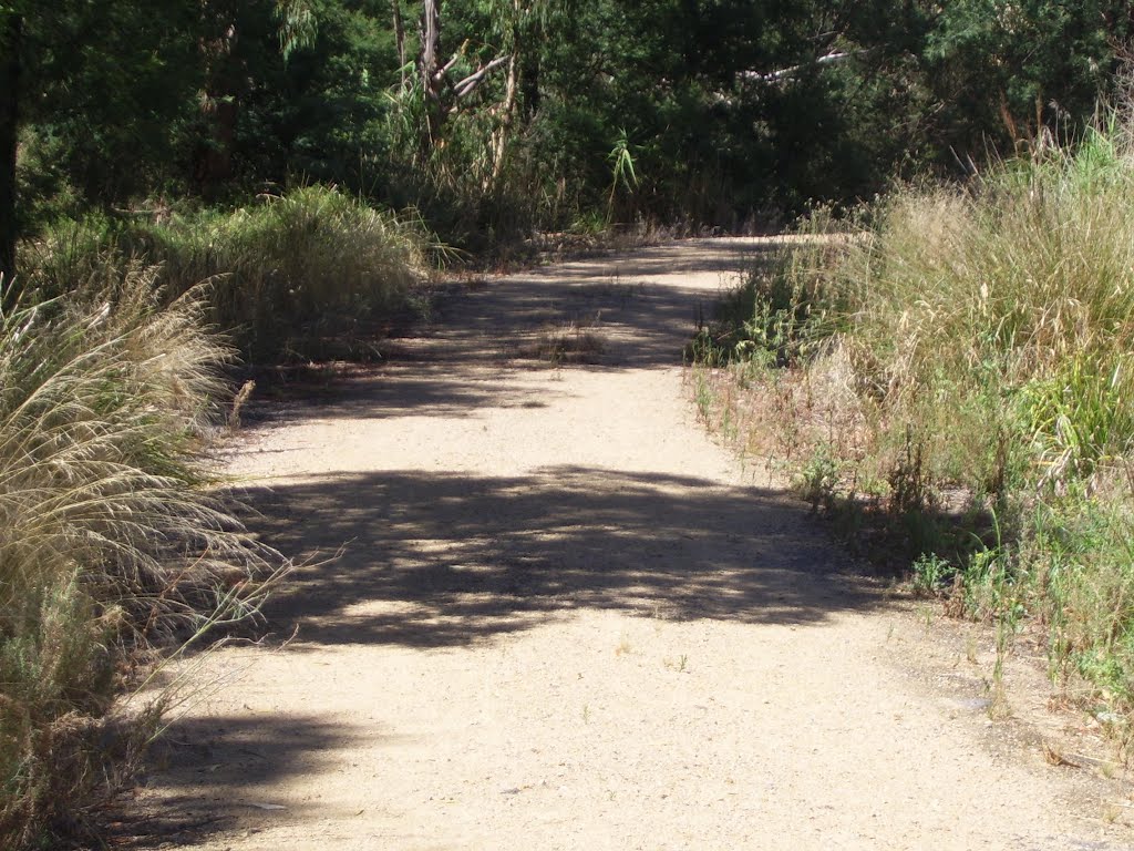 Dandenong Creek Circular Trail by VICPhotoSurvey