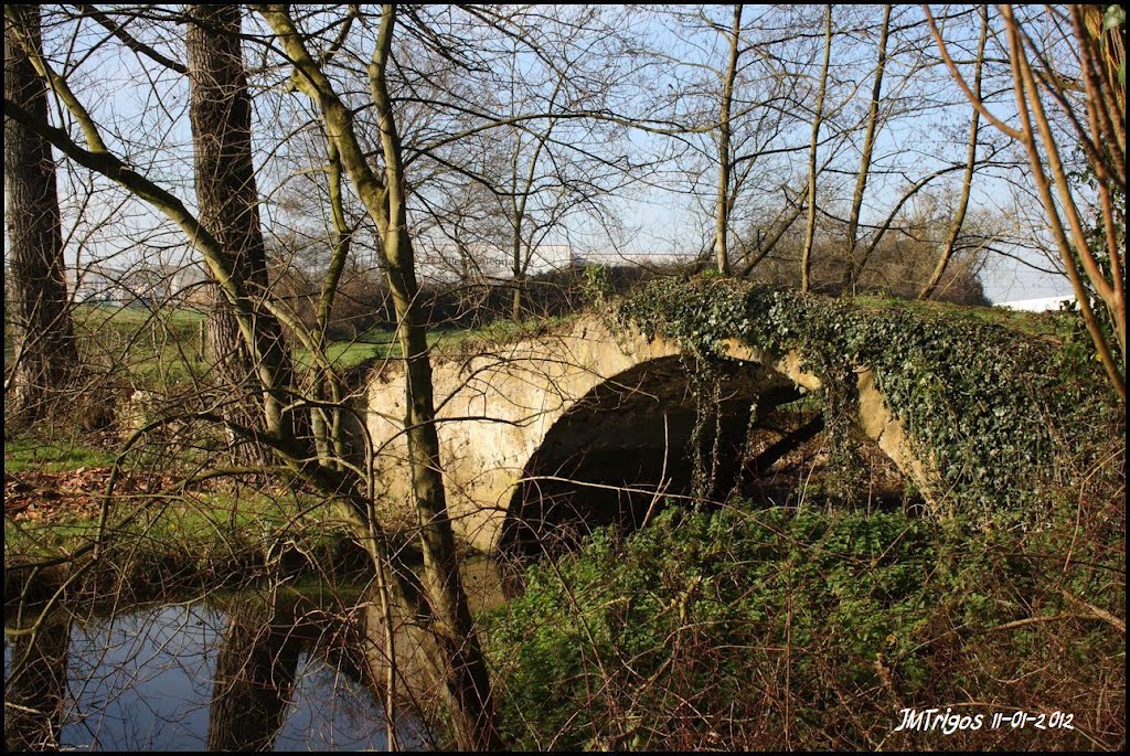 Puente medieval de Fonciello by JMTrigos