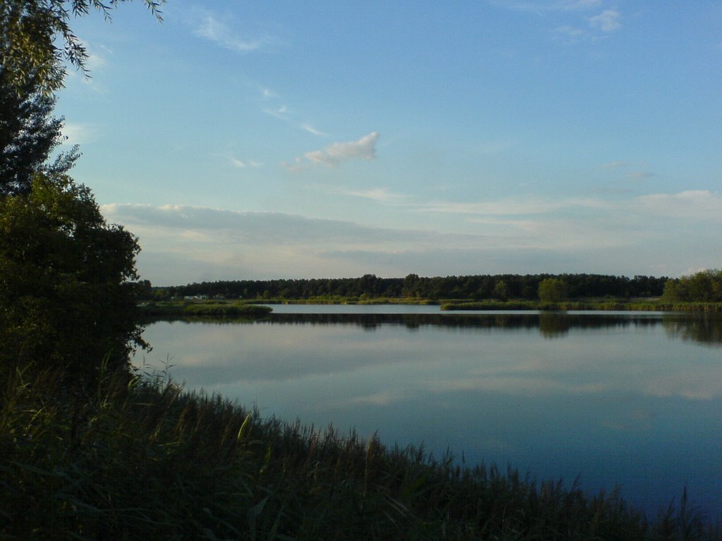 Dębowa lake by Damian J