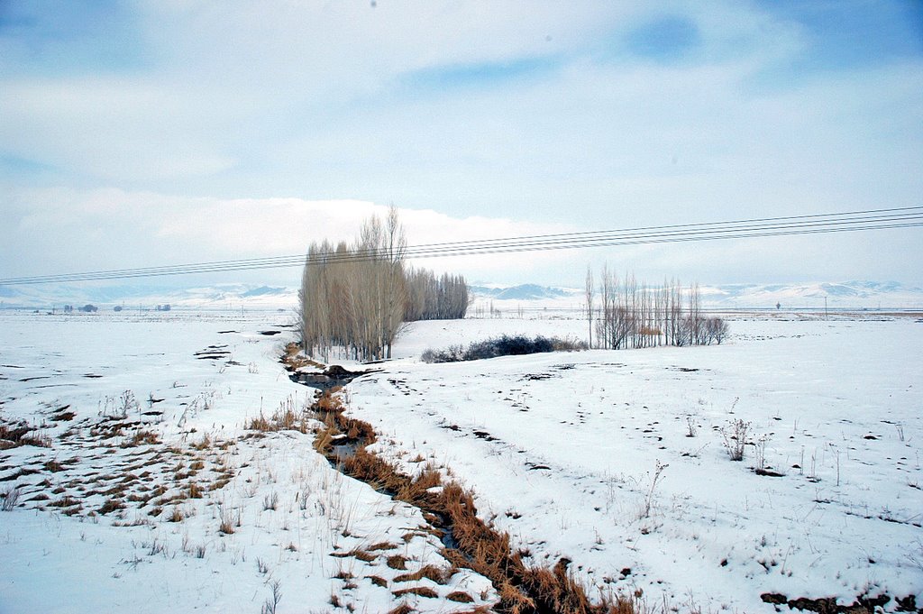 Pasinler Plain, Near Pasinler, Erzurum by Seref Halicioglu