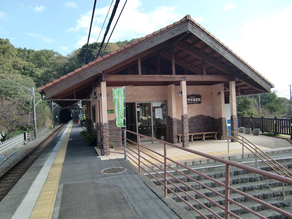 今井浜海岸駅 by dtjmf