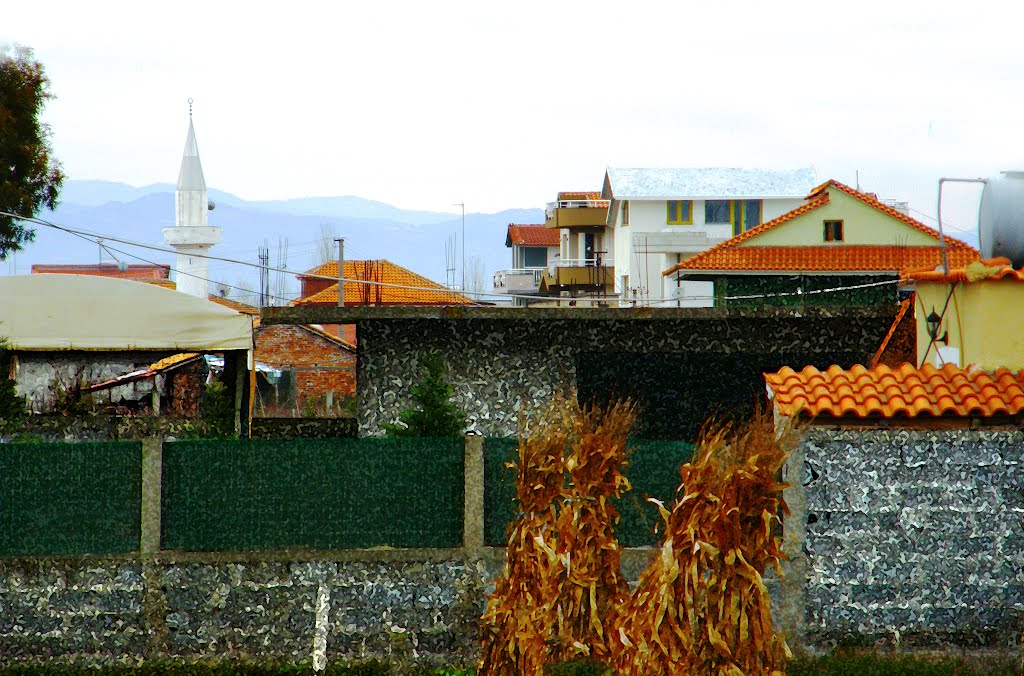 Albania - Fier: Dërmenas... by Giorgos Rodinos