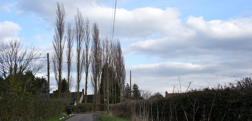 Footpath Towards Old Hall Lane, Woodford by Dennis Neill