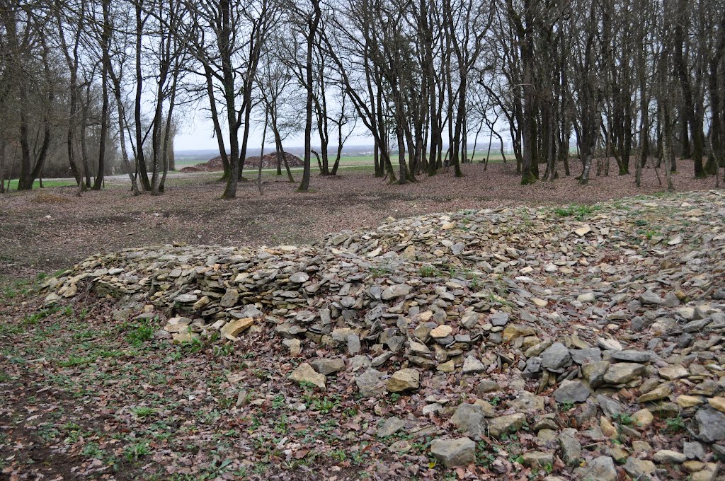 Courçon .Tumulus de Champ-Châlon ,fin du sixième millénaire avant Jésus-Christ. by bregeon pascal