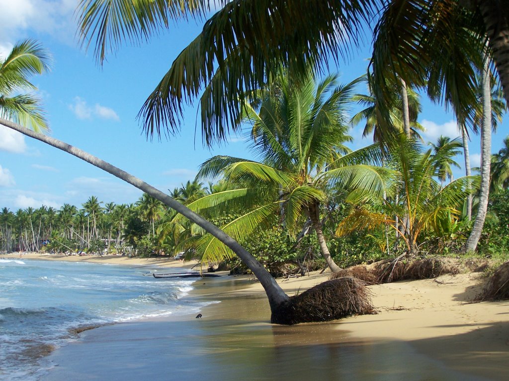 Samana Beach Playa Coson by stromer