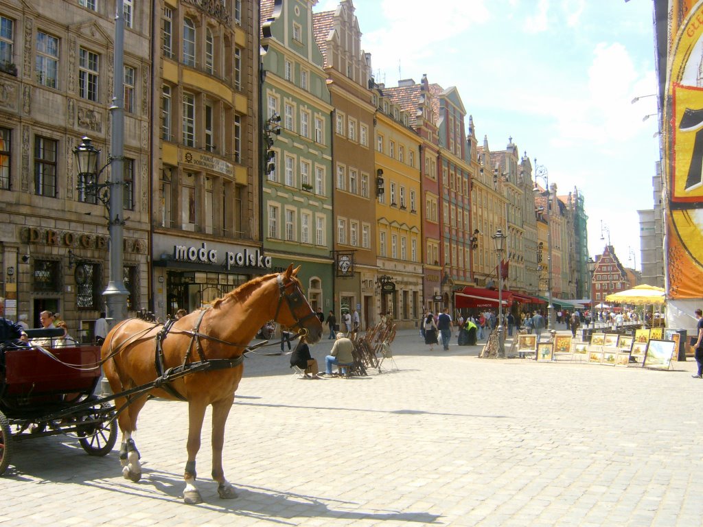 Wroclaw Polonia (Breslau) by F.Oliveira