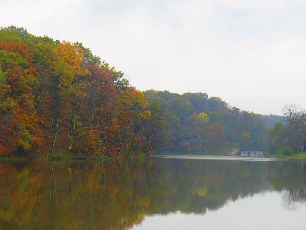 Lake at Mt. Gilead State Park by chascarper