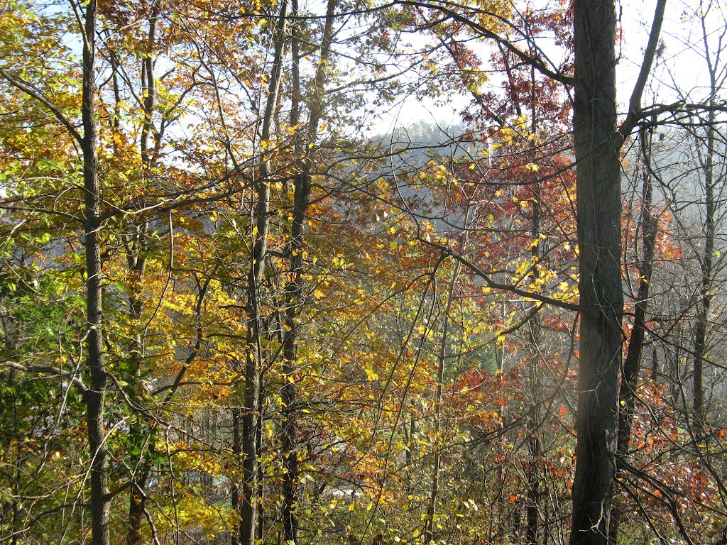 View from Mohican River Inn by chascarper