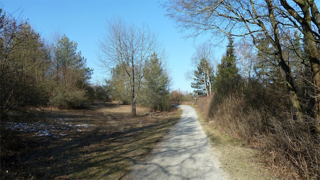 Gut ausgebauter Wanderweg zum NSG Bromberg-Rosengarten by WanderGroschi & CGK