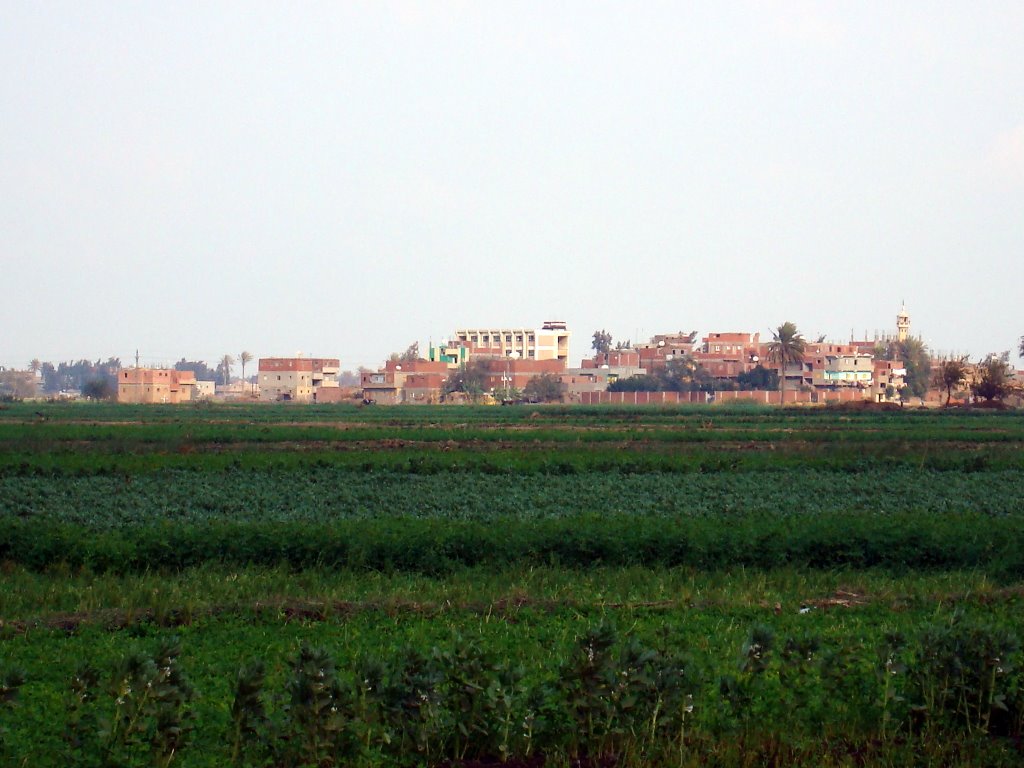 Al Salatna village, view from the west, Sharkia by Alaeddin Faruki