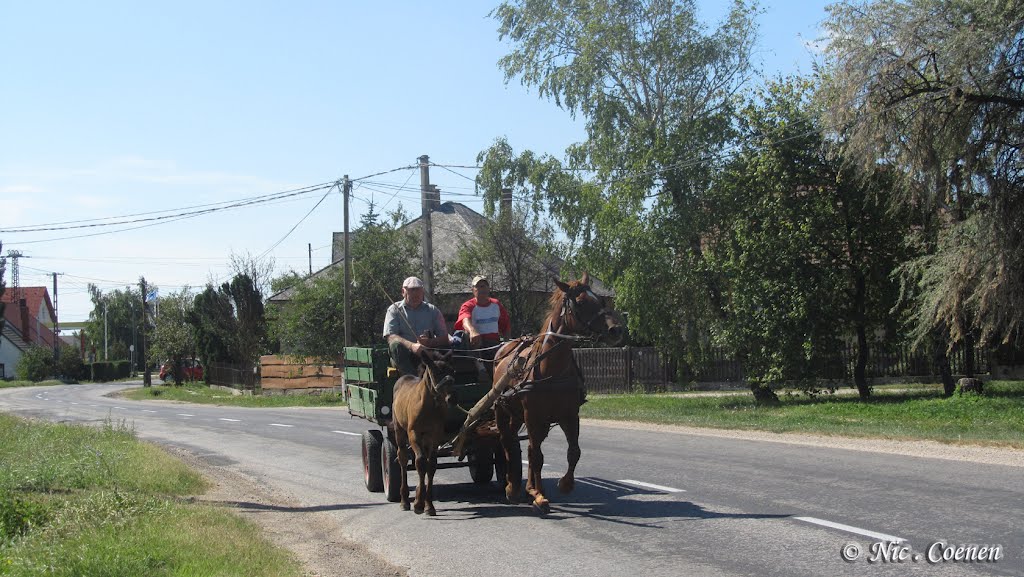 Paard en wagen. - Csákvár - Hongarije. by nic.coenen