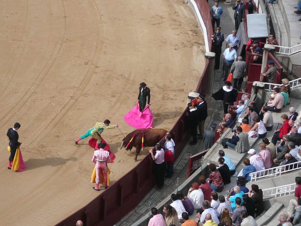 A traditional midday bull fight in the arena by shane_wallace