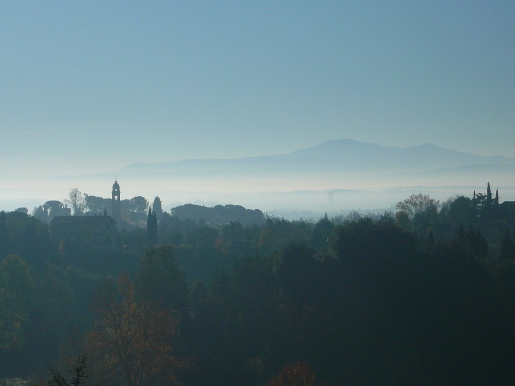 Bell tower in the distance of the fog by shane_wallace