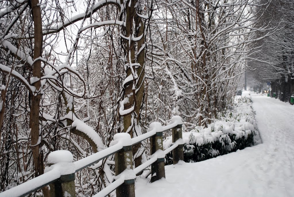 Viale Resistenza fresco di neve by Dario P. Gastoni