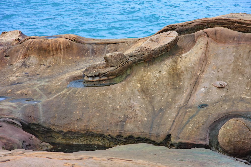 Fairy’s shoe in Yeh-Liu (野柳地質公園) by MF(Meditation Falcon)